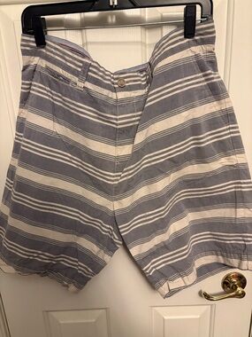 Tommy Hilfiger Men’s Blue and White Striped Flat Front Shorts